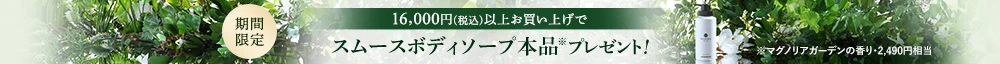 クーラーエコバッグプレゼント