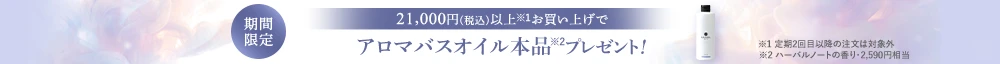 クーラーエコバッグプレゼント