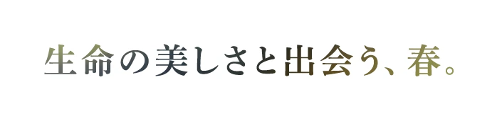 生命の美しさと出会う、春。