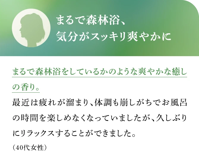 まるで森林浴、気分がスッキリ爽やかに