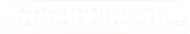 秋に橙色の小さな花を咲かせるキンモクセイ。 どこか懐かしさを感じる、甘くフルーティな香りが特徴